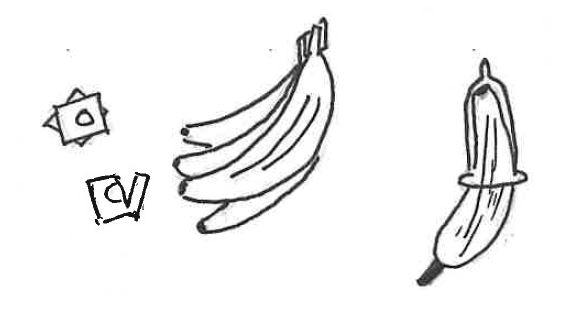 sketch of several condoms, a bunch of bananas, and a condom on a banana